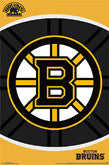 Boston Bruins Team Logo Items