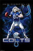Colts Logo Theme And Stadium Wall Art