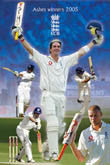 Cricket Posters