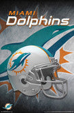 Dolphins Team Theme Posters