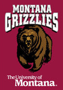 Montana Grizzlies Posters