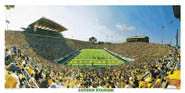 Oregon Ducks Posters