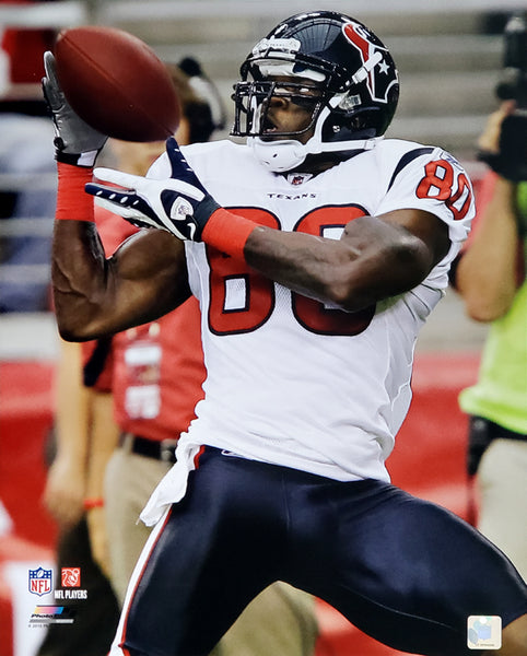 Andre Johnson "Haul it In" (2010) Houston Texans Premium Poster Print - Photofile 16x20