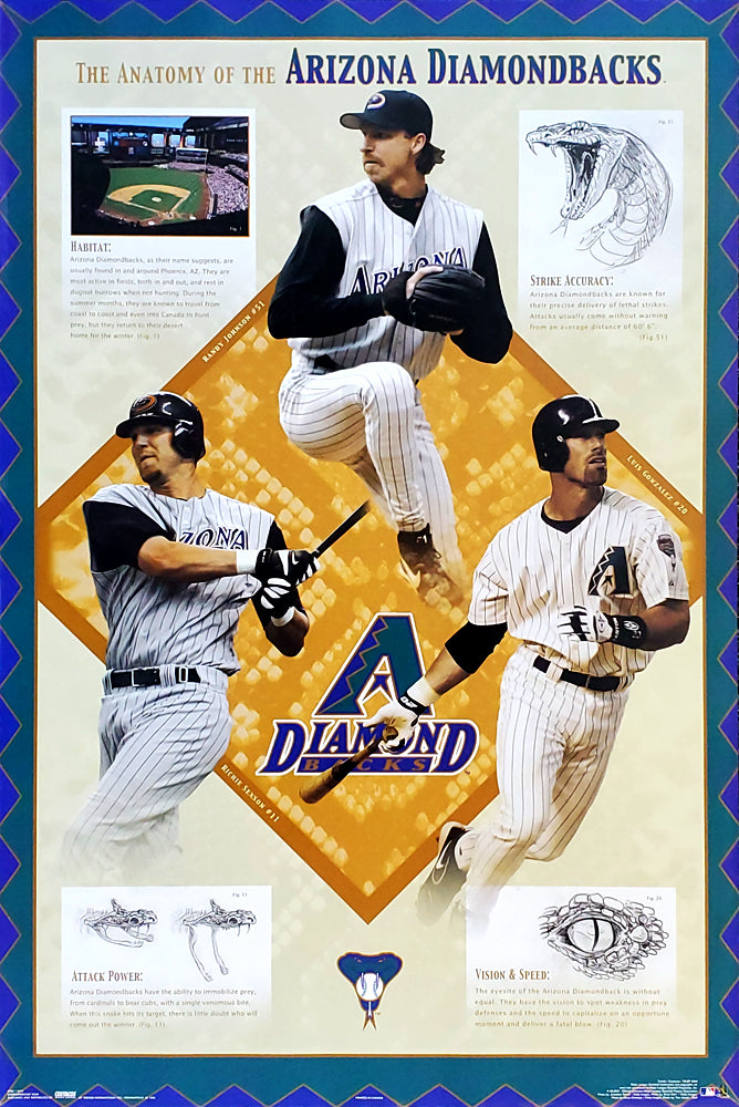 Arizona Diamondbacks Anatomy Poster (Randy Johnson, Luis Gonzalez, S –  Sports Poster Warehouse
