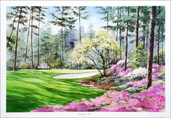 Augusta #10 (Camellia) Premium Art Poster Print - Directional Publishing