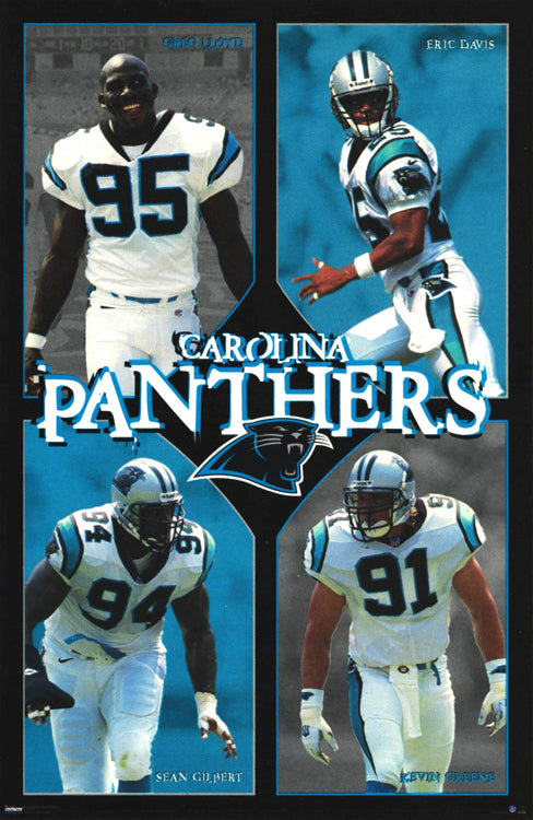 Jake Delhomme Carolina Panthers Super Bowl 2004 Photo, American Football  Posters