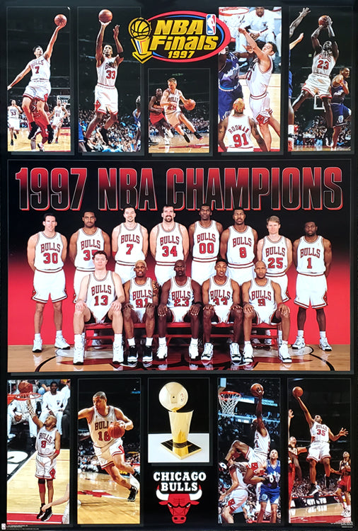 Chicago Bulls  NBA Champions Commemorative Poster   Costacos Sports