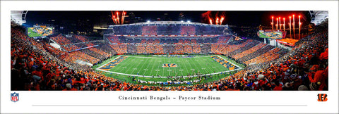Cincinnati Bengals Paycor Stadium "Stripe the Jungle" Panoramic Poster Print - Blakeway Worldwide