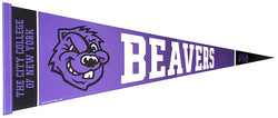 City College of New York CCNY BEAVERS Official NCAA Team Felt Pennant - Rico Inc.