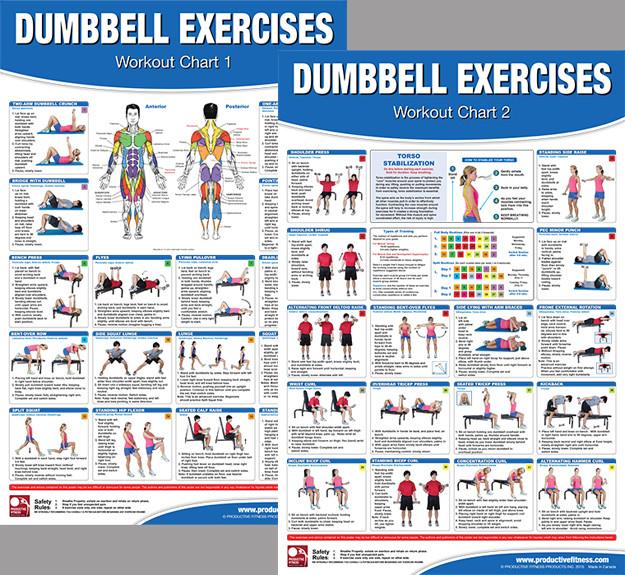 Pdf Dumbbell Exercises Workout Plan Upper Body Dumbbell Only