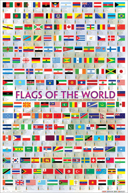 Flags of the World (197 Countries) Educational Wall Chart 24x36 Poster - Eurographics Inc.