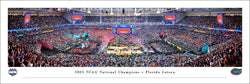 Florida Gators 2025 NCAA Men's Basketball Champions Panoramic Poster Print - Blakeway
