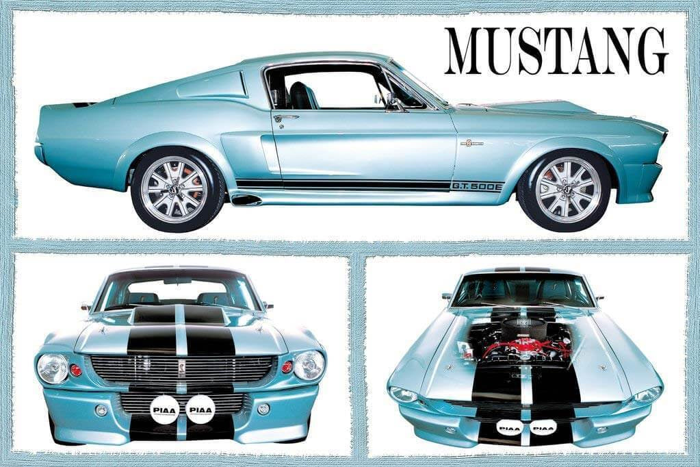 Poster, Quadro Ford Shelby - Mustang gt 500 | Poster sul muro | 3 1 Poster, Quadro Ford Shelby - Mustang gt 500 | Poster sul muro | 3 1