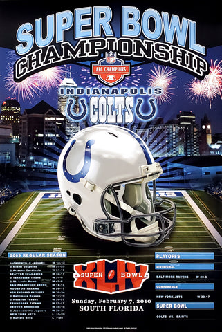 Indianapolis Colts "Super Season 2010" NFL Football Commemorative 24x36 Poster - Action Images