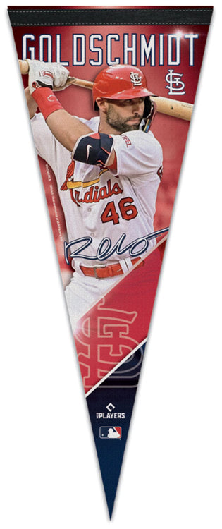 St. Louis Cardinals Official MLB Team Logo Premium 28x40 Wall Banner -  Wincraft Inc.