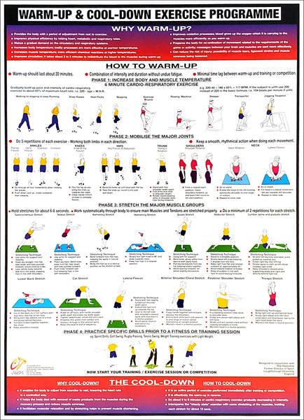 Warm-Up and Cool-Down Fitness Instructional Wall Chart - Chartex