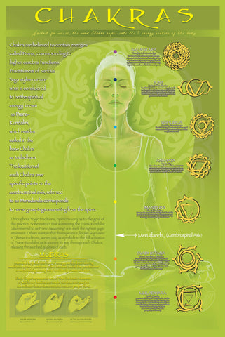 Yoga Chakras and Mudras Yoga Studio Wall Chart Poster - Eurographics Inc.