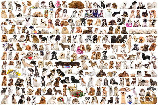 The World of Dogs Poster (200 Furry Pets) - Eurographics Inc.