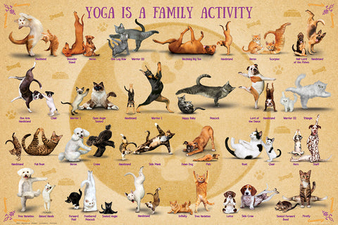 Yoga Dogs and Cats "Yoga is a Family Activity" Fitness Poster - Eurographics Inc.