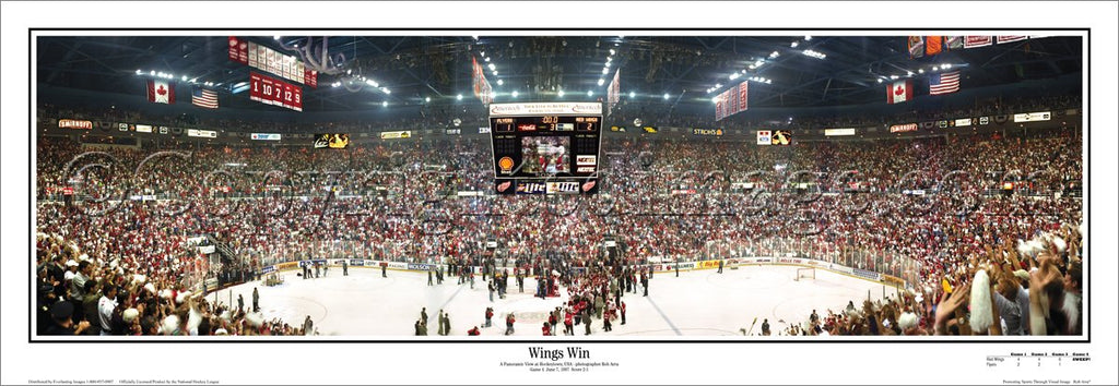 Detroit Red Wings 27 x 21 Joe Louis Arena Wall Art