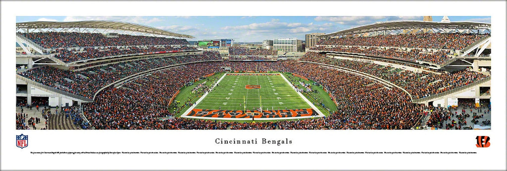 Cincinnati Bengals 1981 NFL Football Vintage Theme Art Poster (Chuck Ren) -  DAMAC Inc.