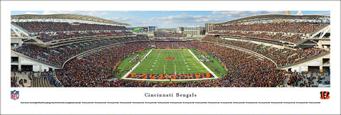 Cincinnati Bengals Paul Brown Stadium End Zone View Panoramic Poster Print - Blakeway Worldwide