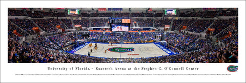 Florida Gators Basketball Exactech Arena Game Night Panoramic Poster Print (2017) - Blakeway