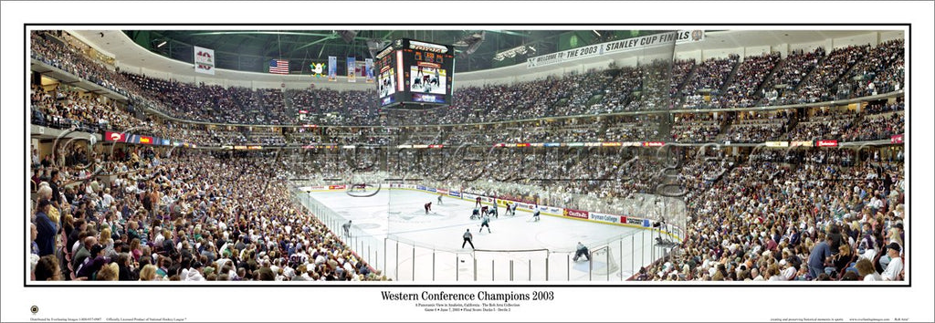  Everlasting Images Anaheim Ducks 2007 Stanley Cup