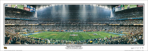 New England Patriots Super Bowl XXXVIII (2004) Champions Panoramic Poster Print - Everlasting Images (MA-88A)