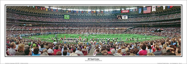 Houston Oilers "48 Yard Line" Houston Astrodome Panoramic Poster Print - Everlasting Images 1992
