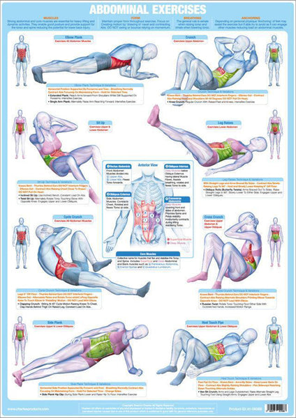 Abdominal Exercises Strength Training Fitness Instructional Wall Chart Poster - Chartex Products