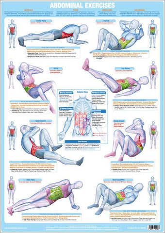 Abdominal Exercises Strength Training Fitness Instructional Wall Chart Poster - Chartex Products