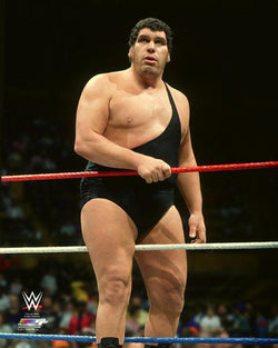 Andre The Giant WWE Wrestling Classic Ring Action (c.1987) Premium Poster Print - Photofile Inc.