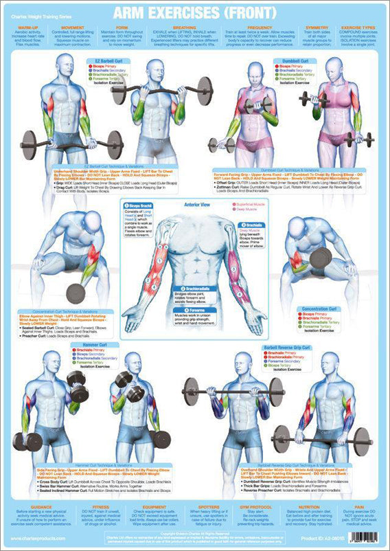 Arm Exercises (Front) Weight Training Fitness Instructional Wall