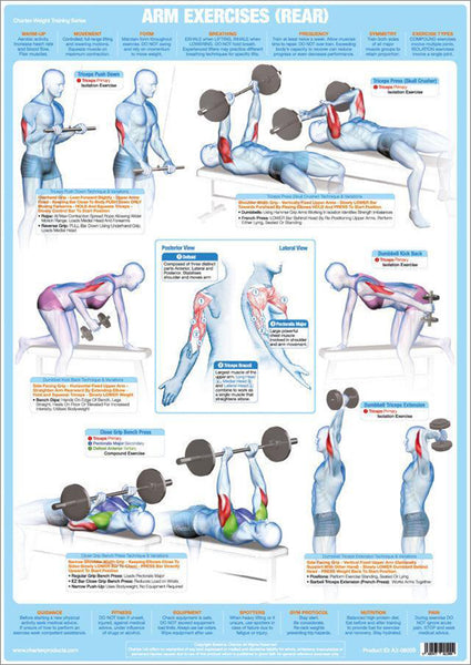 Arm Exercises (Rear) Weight Training Fitness Instructional Wall Chart Poster - Chartex Products