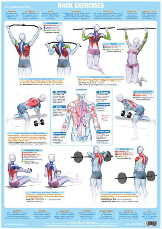 Back Exercises Weight Training Fitness Instructional Wall Chart