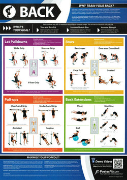 Back Workout Professional Fitness Training Wall Chart Poster (w/QR Code) - PosterFit