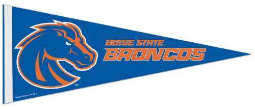 Boise State Broncos Official NCAA Team Logo Premium Felt