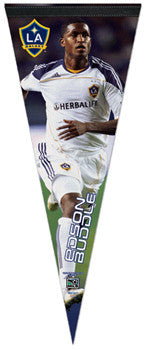 Edson Buddle L.A. Galaxy Premium Felt Collector's Pennant - Wincraft