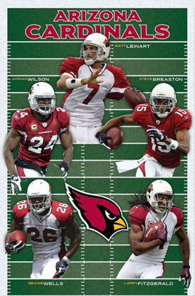 Arizona Cardinals "Gridiron Five" (2010) - Costacos Sports