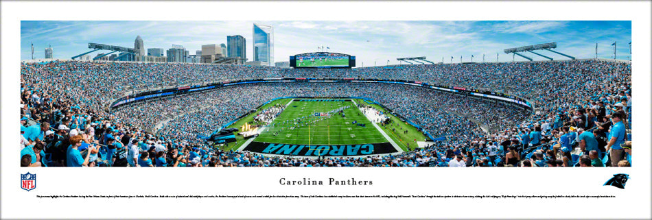 Carolina Panthers Bank of America Stadium Night Framed Picture