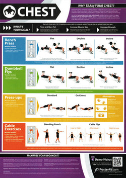 Chest Workout Professional Fitness Training Wall Chart Poster (w/QR Code) - PosterFit