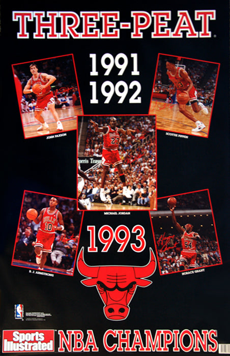 VINTAGE CHICAGO BULLS 1993 THREE PEAT NBA CHAMPIONS FRUIT OF THE LOOM TEE -  Primetime