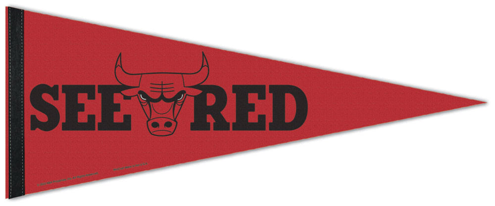 thumbnail image 2 of Chicago Bulls Pennant Flag 12x30 Inches With Wall Mounting Kit | Officially Licensed NBA Decor 2 of 13