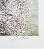 Chimpanzees "A Look Inside" Wildlife Art by Jan Bain L/E Lithograph Poster Print - Lumbers Publishing 1996