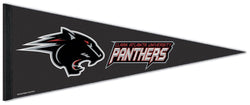 Clark Atlanta University PANTHERS Official NCAA Team Logo Premium Felt Pennant - Wincraft Inc.