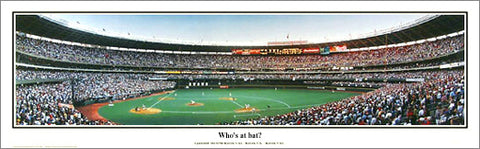 Cincinnati Reds Riverfront Stadium "Who's at bat?" (1998) Panoramic Poster Print - Everlasting