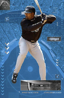 Carlos Delgado "Bird's Eye View" Toronto Blue Jays Poster - Costacos 2004