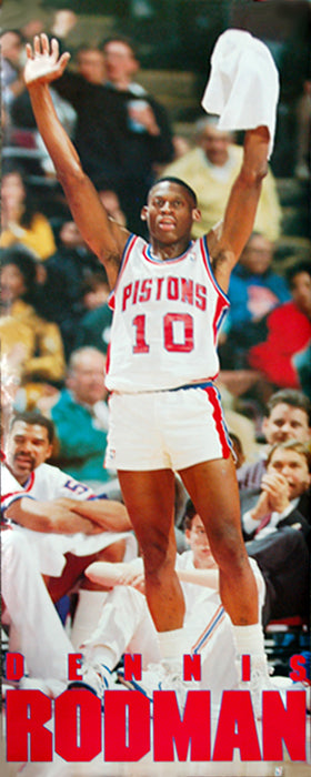 Vintage 1989 Detroit Pistons Championship Basketball Rodman 