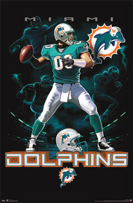Miami Dolphins "On Fire" NFL Theme Art Poster - Costacos Sports